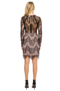 Long Sleeve Lace Bodycon Dress 10 Long Sleeve Lace Bodycon Dress -Chic Outfit Shop ACDR100156 BLACK NUDE 04