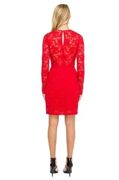 Long Sleeve Lace Illusion Dress 11 Long Sleeve Lace Illusion Dress -Chic Outfit Shop ACDR100182 RED 04
