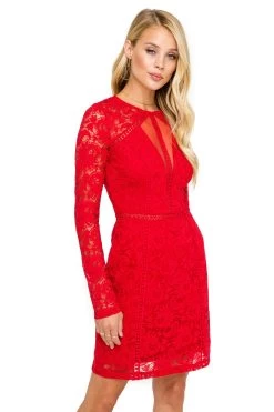 Long Sleeve Lace Illusion Dress 10 Long Sleeve Lace Illusion Dress -Chic Outfit Shop ACDR100182 RED 05