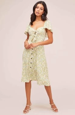 Rachelle Print Midi Dress
