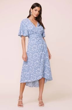 Delaney Floral Midi Dress -Chic Outfit Shop ACDR100310B BLUEIVORYDITSY 1