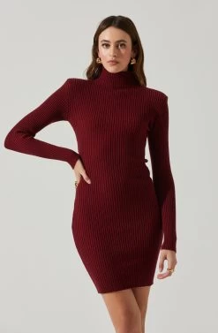 Gwendolyn Turtleneck Sweater Mini Dress -Chic Outfit Shop ACDR100970SH WINE 3