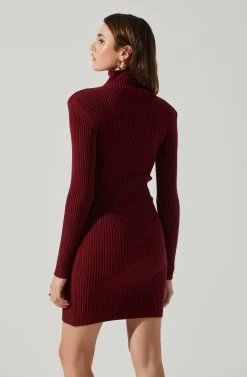 Gwendolyn Turtleneck Sweater Mini Dress -Chic Outfit Shop ACDR100970SH WINE 5