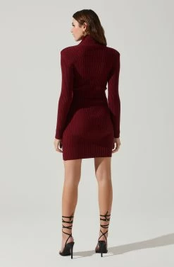 Gwendolyn Turtleneck Sweater Mini Dress -Chic Outfit Shop ACDR100970SH WINE 6
