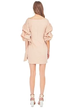 Shea Mini Dress -Chic Outfit Shop ACDR95014 SOFT CLAY 03
