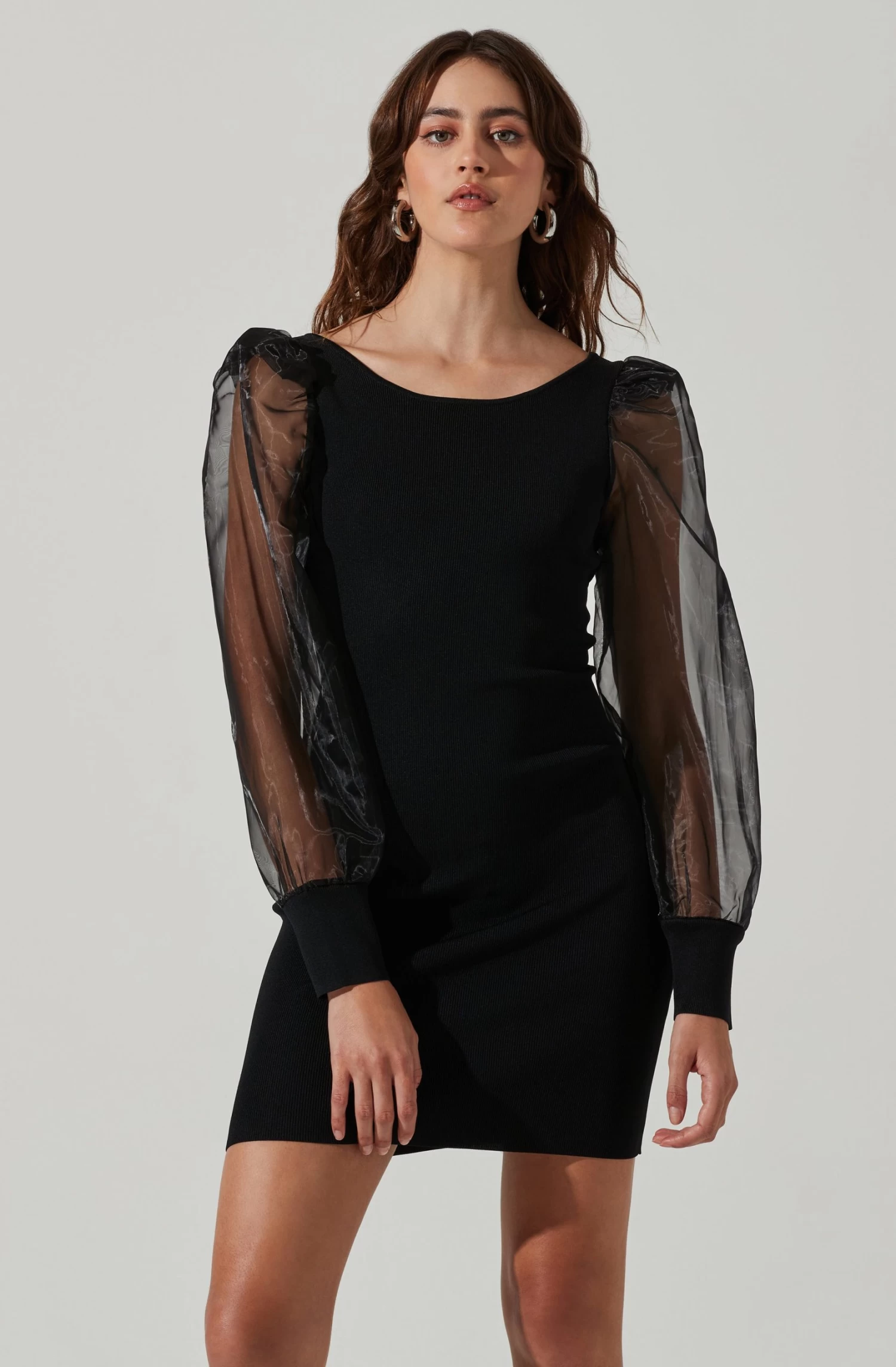 Organza Long Sleeve Mini Dress 6 Organza Long Sleeve Mini Dress - Image 4