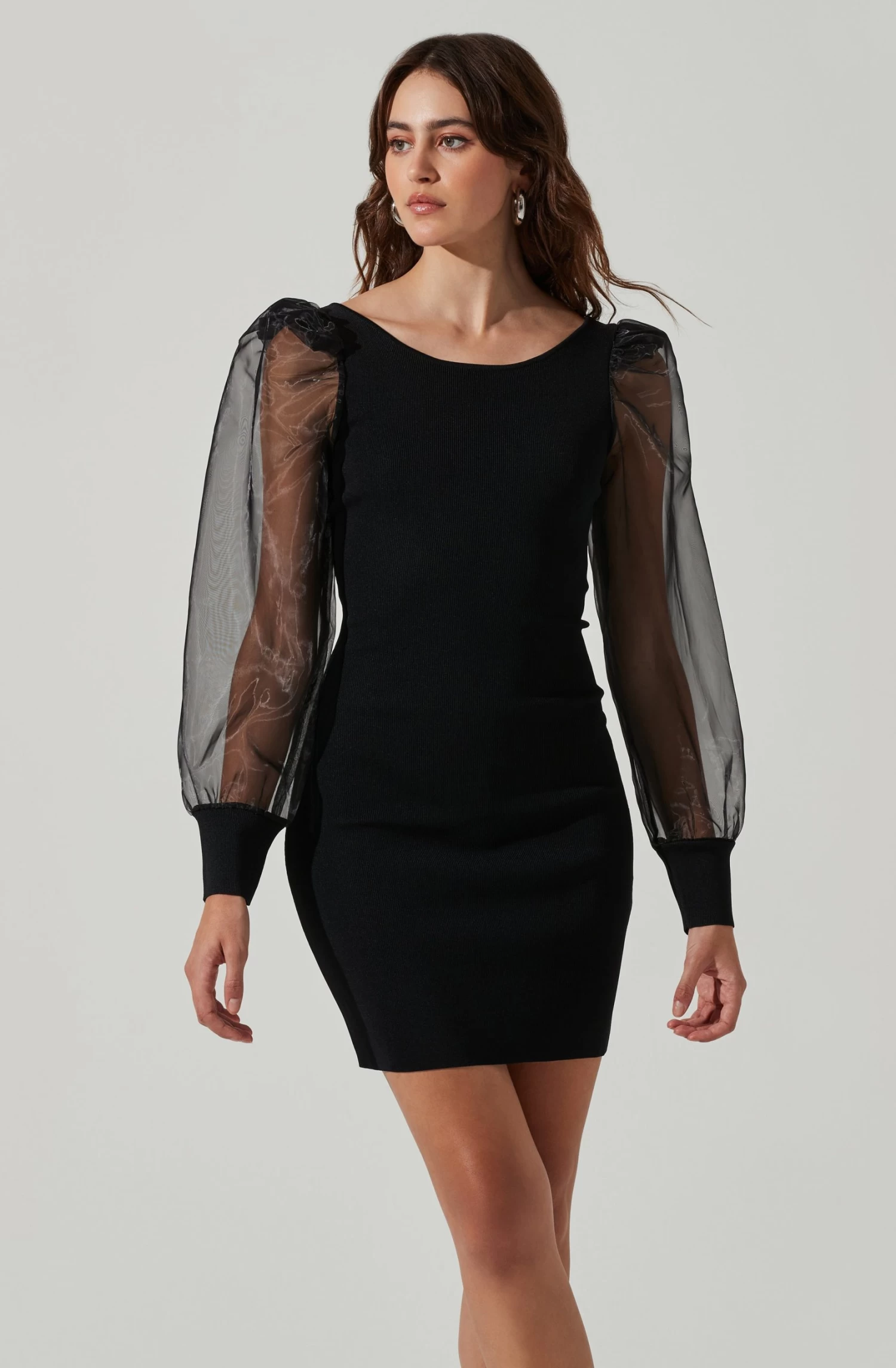 Organza Long Sleeve Mini Dress 4 Organza Long Sleeve Mini Dress - Image 2