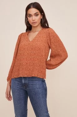 Volume Sleeve V Neck Top -Chic Outfit Shop AT16511 003 RUSTDITSY 2