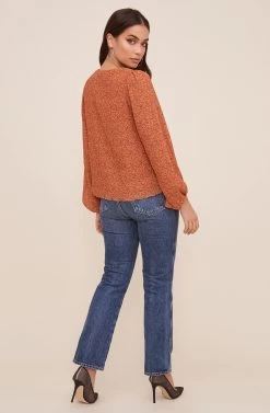 Volume Sleeve V Neck Top -Chic Outfit Shop AT16511 003 RUSTDITSY 4