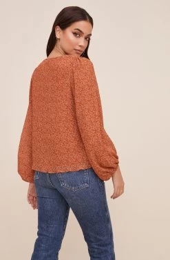 Volume Sleeve V Neck Top -Chic Outfit Shop AT16511 003 RUSTDITSY 5