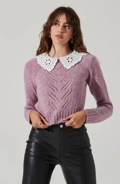 Embroidered Collar Sweater 14 Embroidered Collar Sweater -Chic Outfit Shop AT17402 PURPLE 2
