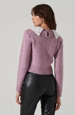 Embroidered Collar Sweater 17 Embroidered Collar Sweater -Chic Outfit Shop AT17402 PURPLE 3